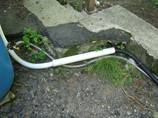 Photo of the overflow pipe from the other side of the barrel; the white corrugated overflow pipe provided by the kit enters a 3 foot long PVC pipe and a black corrugated plastic pipe exits the other end. The PVC pipe is positioned where people would step up or down from a concrete ledge.