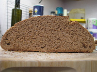 Cross-section, showing tight crumb