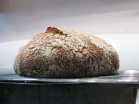 Top view of baked bread