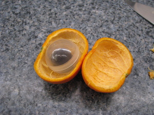 Malt ball in a small clear plastic sphere, nestled in one of the peel halves.