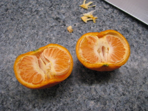 A mandarin orange cut in half, wedges mostly intact.